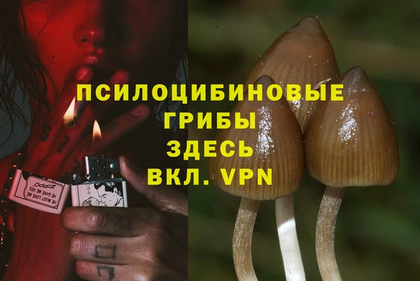 кокс Балабаново